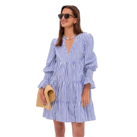 Tuckernuck Dresses & Skirts - Tuckernuck Pomander Place Kenzo Dress – Blue Stripe – XS
